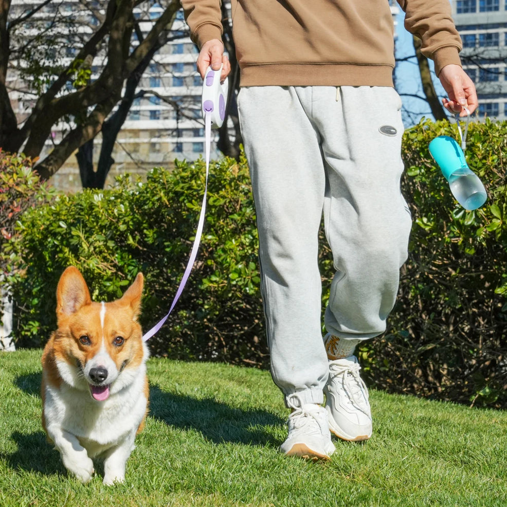 Portable Pet Water Bottle 300ML