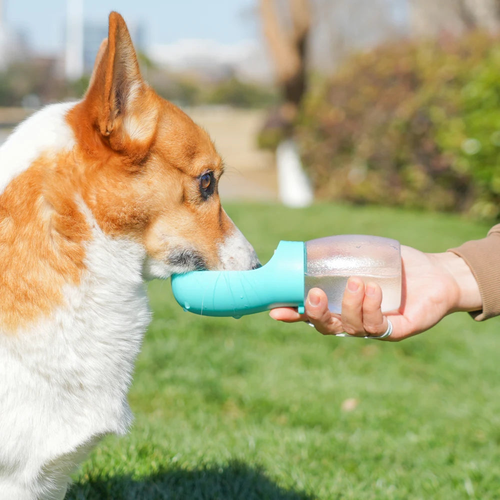 Portable Pet Water Bottle 300ML