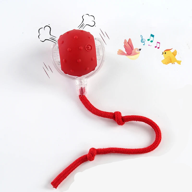 Smart Automatic Interactive Dog Ball