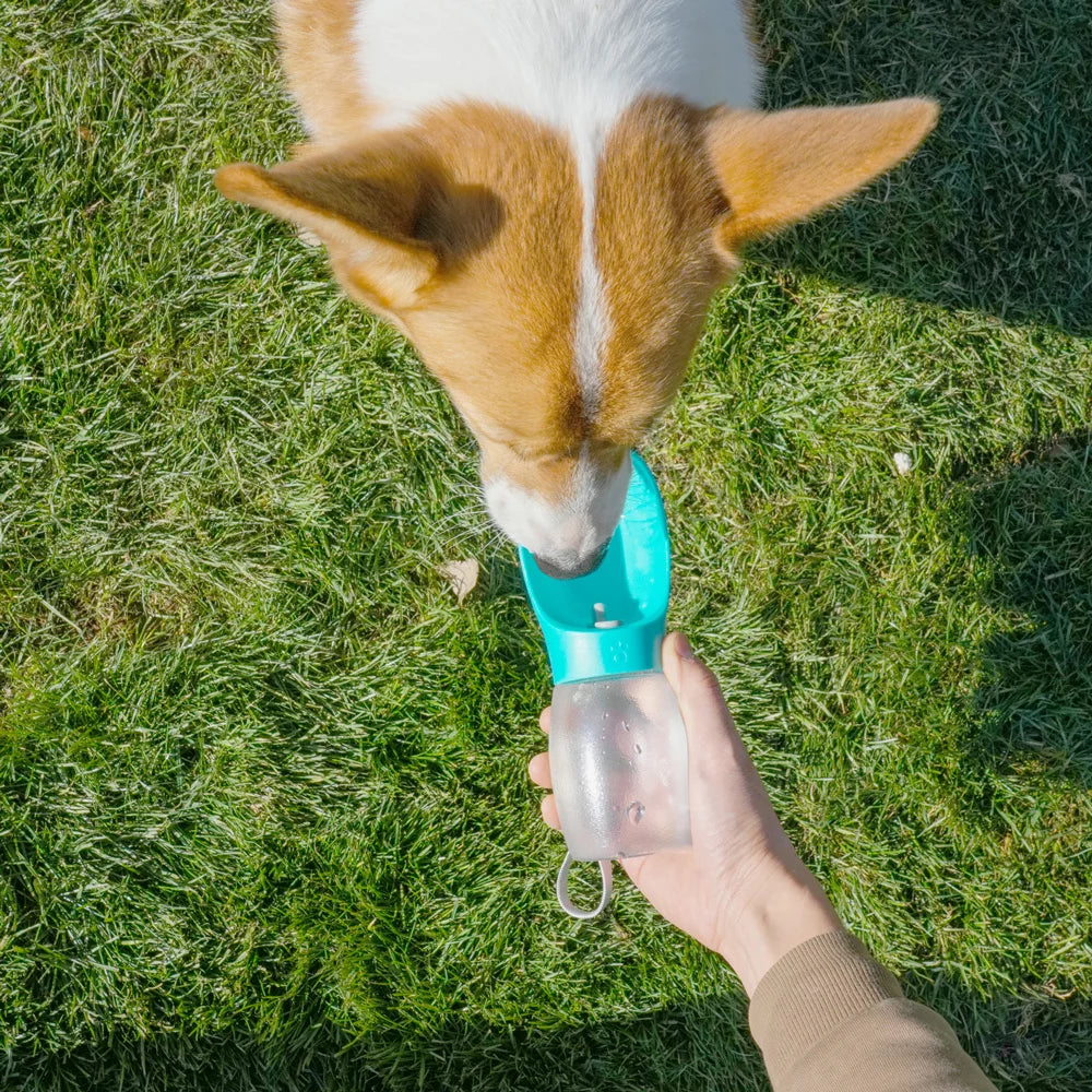 Portable Pet Water Bottle 300ML